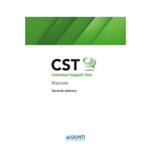 Müşteri Destek Testi (CST)